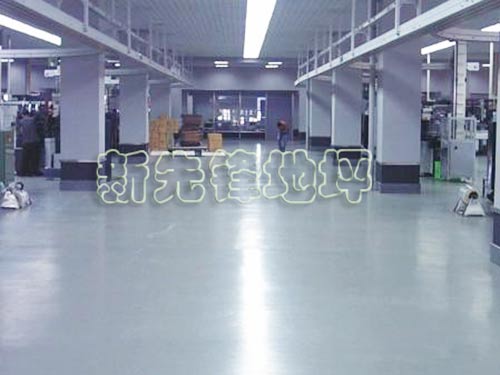 環(huán)氧廠房地坪(11)