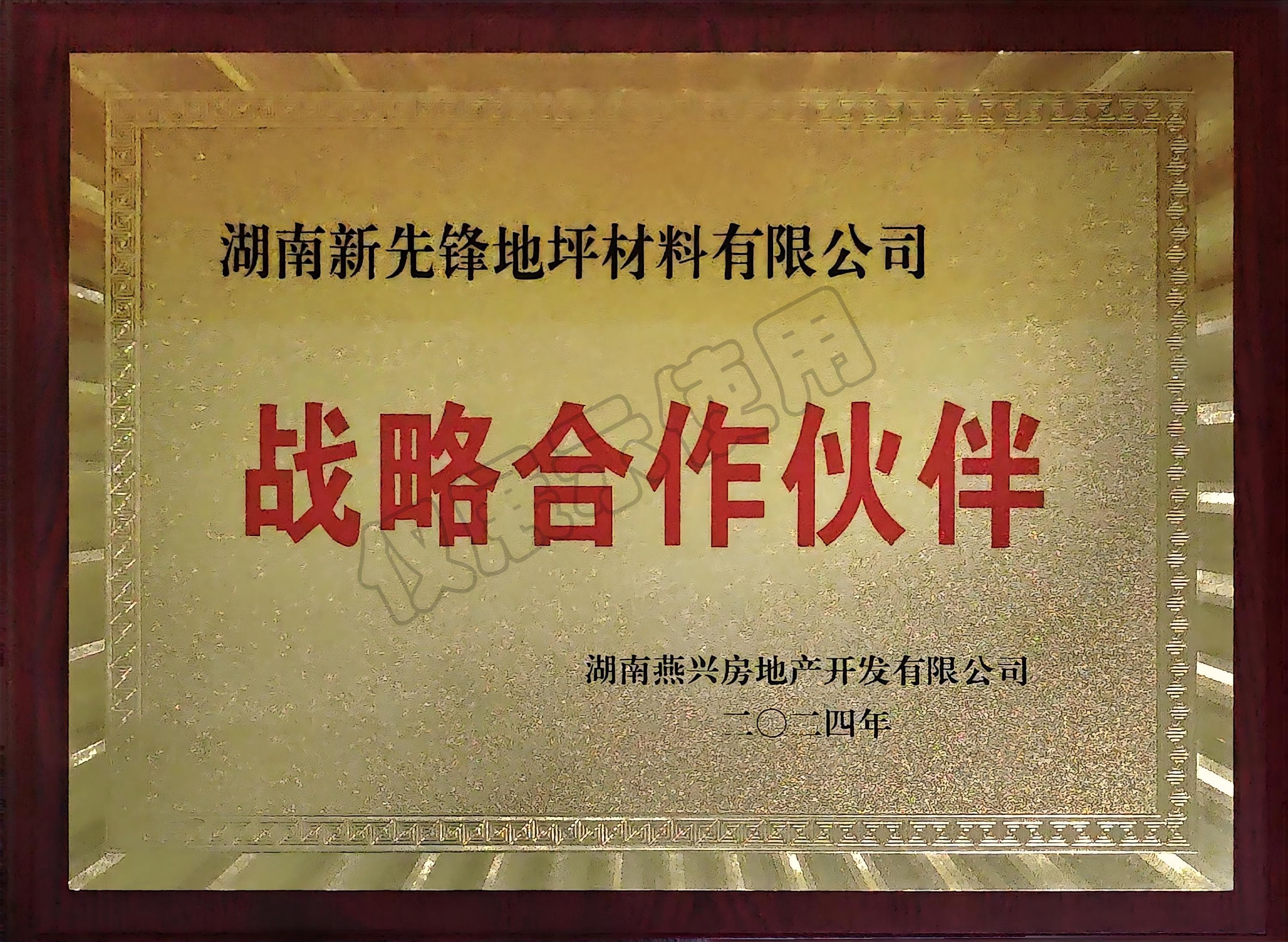 戰(zhàn)略合作伙伴